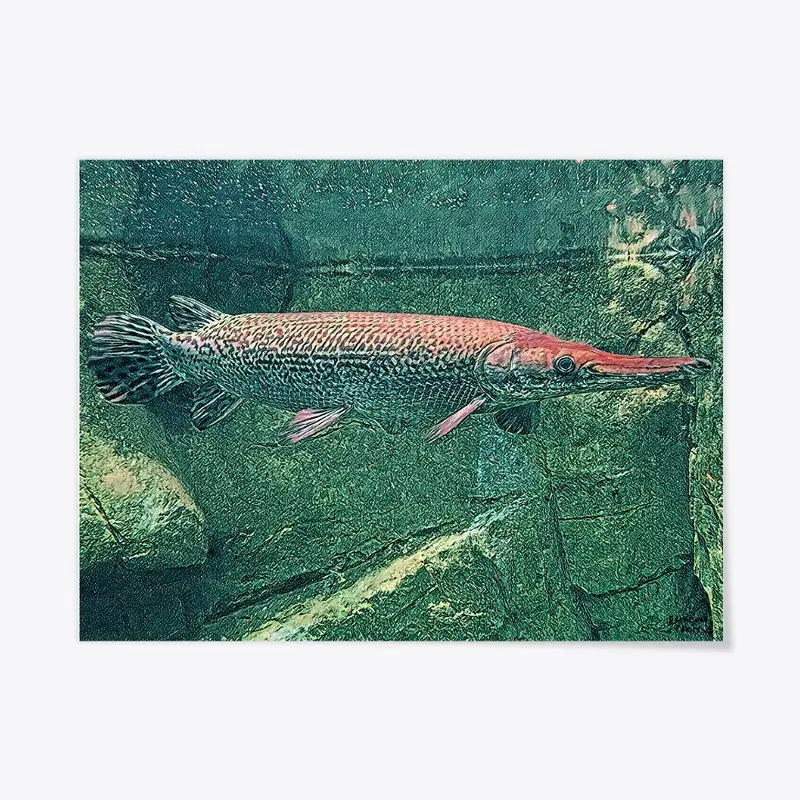 Alligator Gar Poster